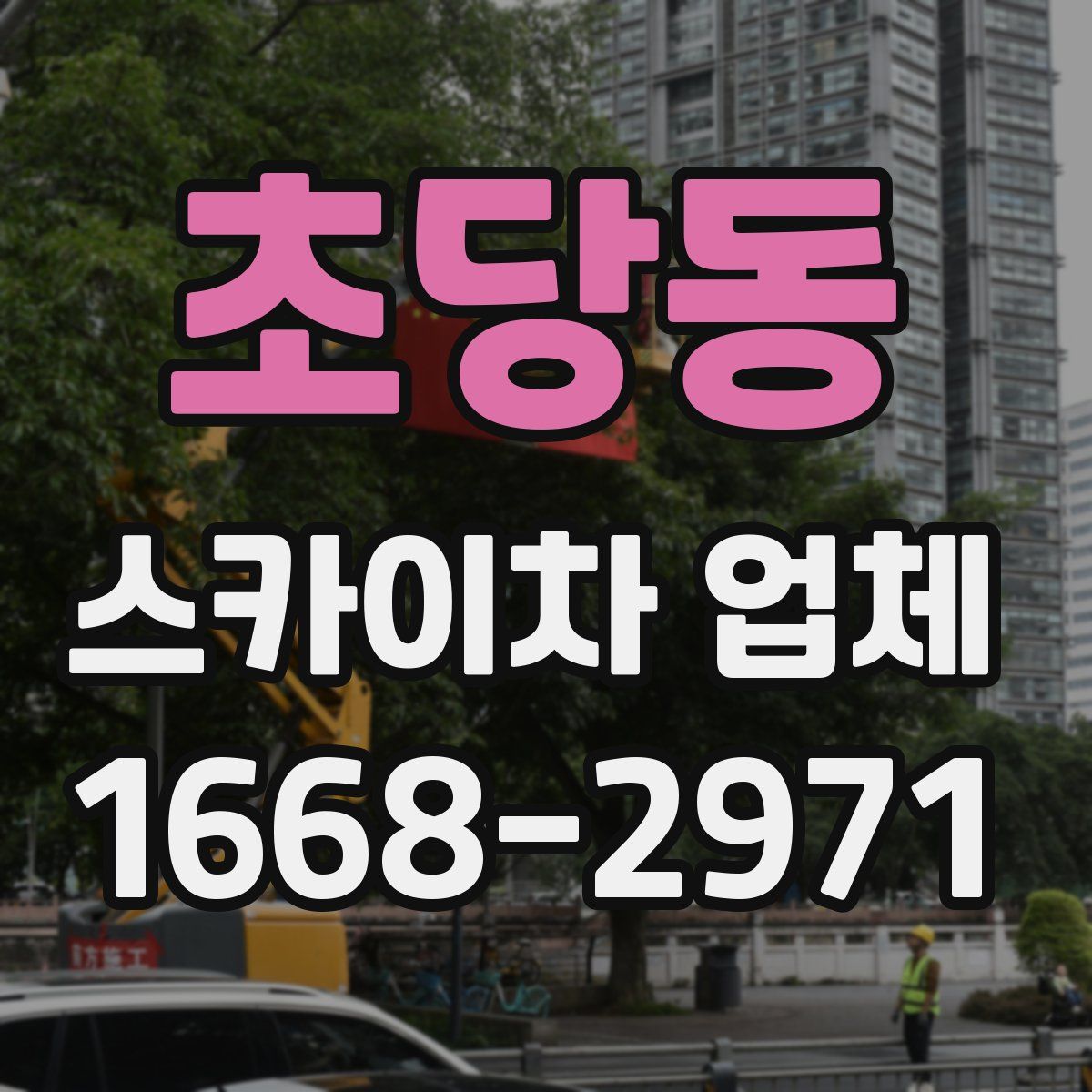 초당동 스카이차 업체