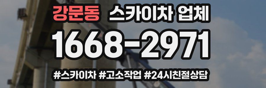강문동 스카이차 업체