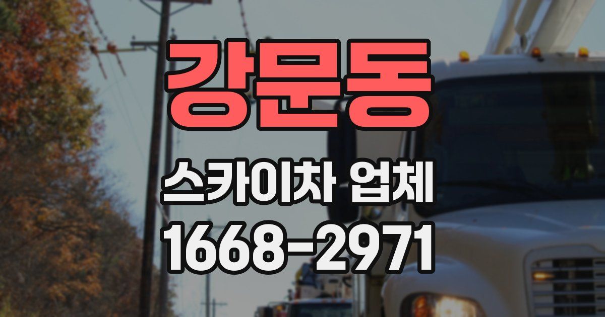 강문동 스카이차 업체