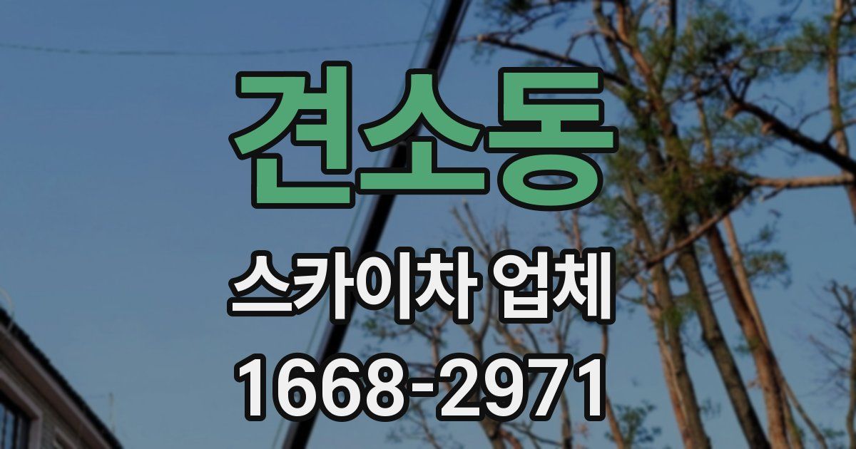 견소동 스카이차 업체