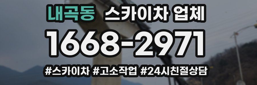 내곡동 스카이차 업체