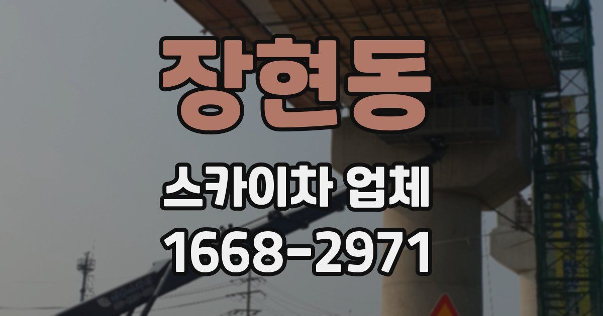 장현동 스카이차 업체