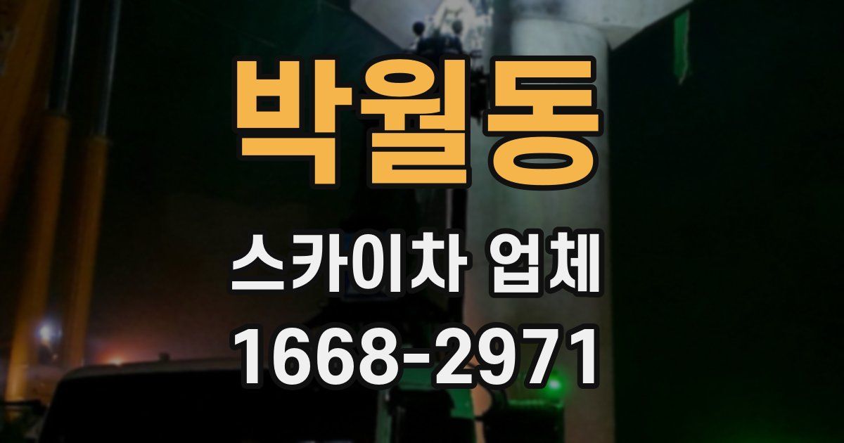 박월동 스카이차 업체