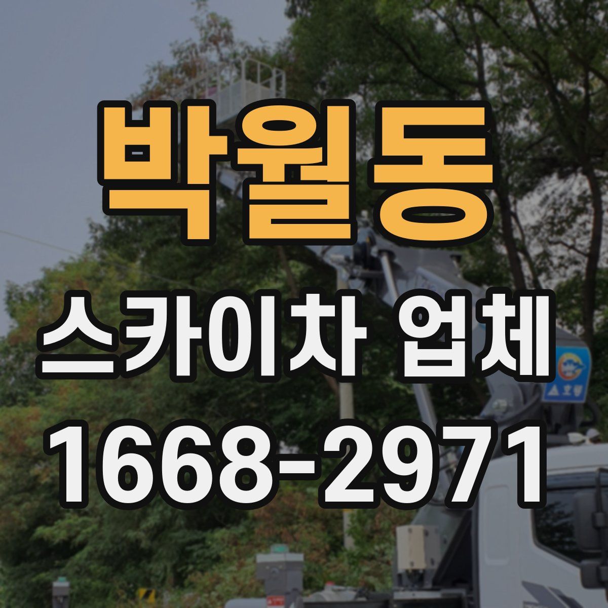 박월동 스카이차 업체