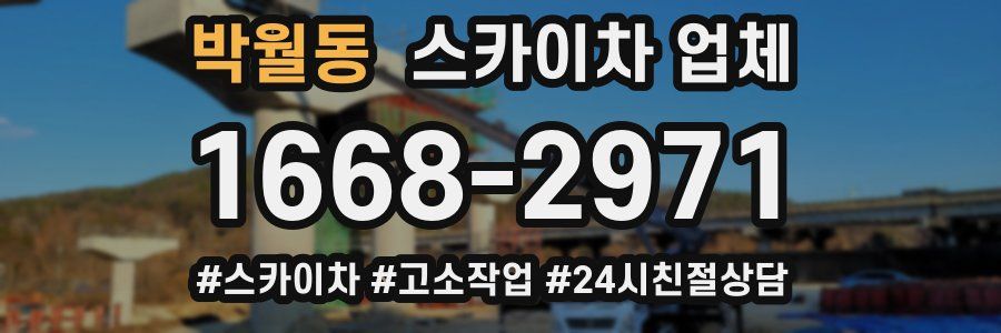 박월동 스카이차 업체