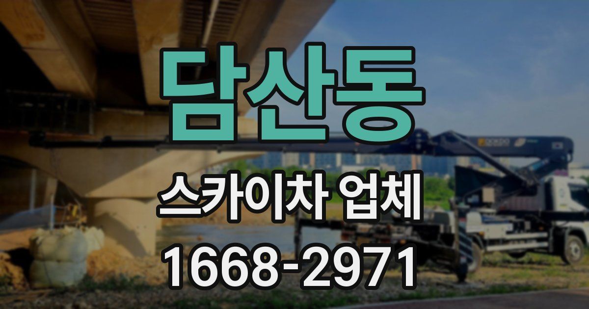 담산동 스카이차 업체