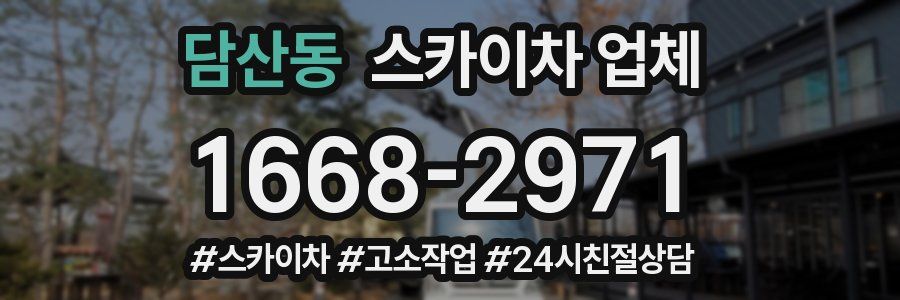 담산동 스카이차 업체