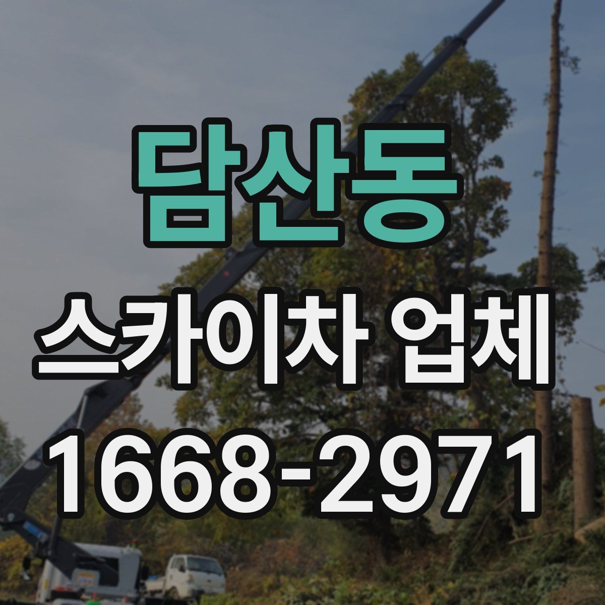 담산동 스카이차 업체