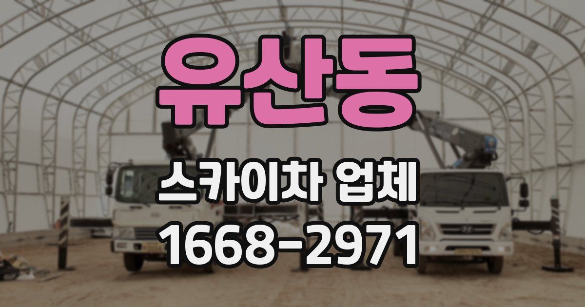 유산동 스카이차 업체