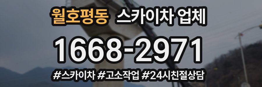 월호평동 스카이차 업체