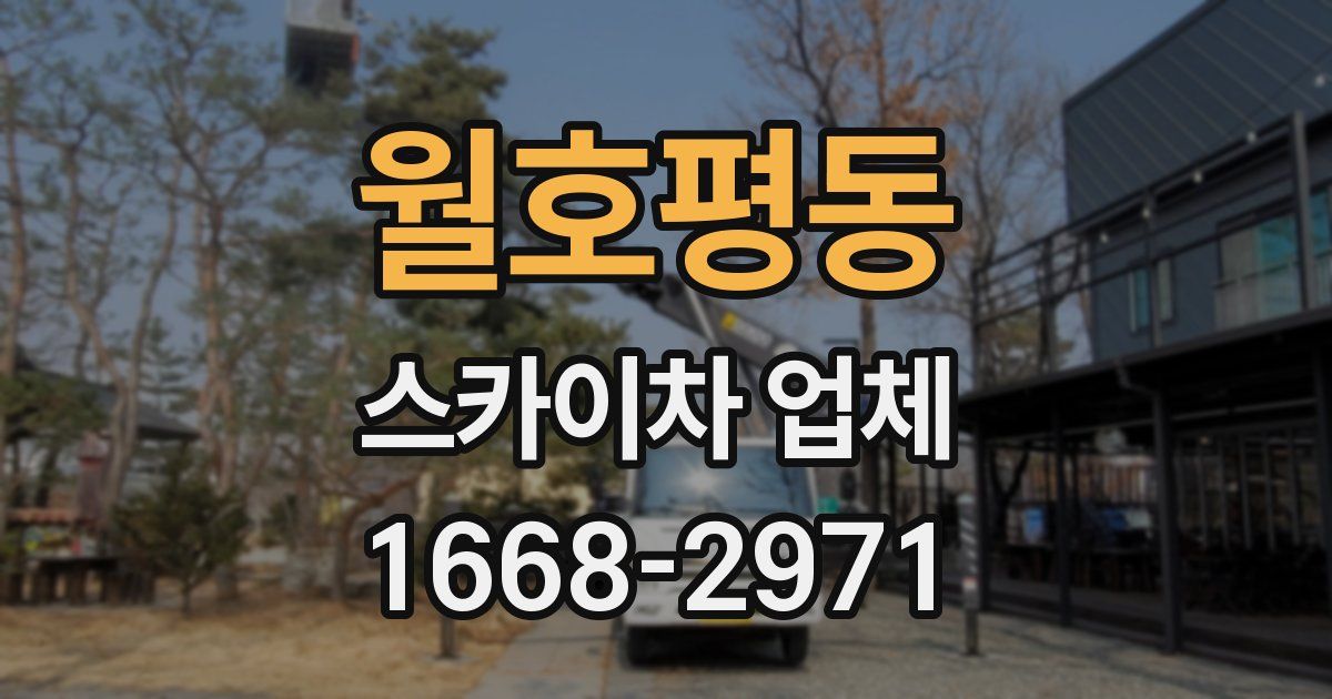 월호평동 스카이차 업체