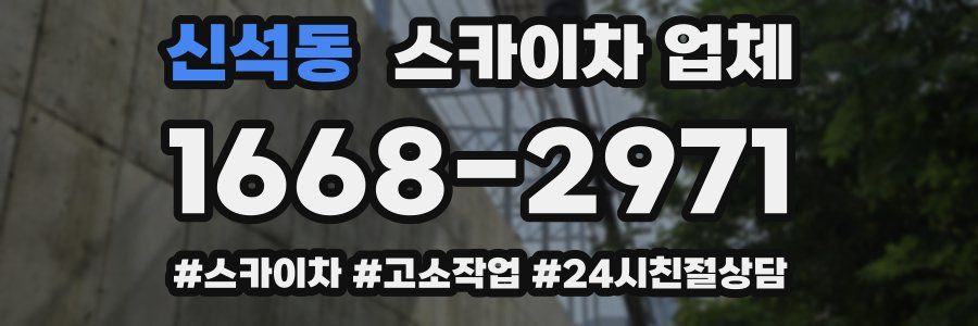신석동 스카이차 업체