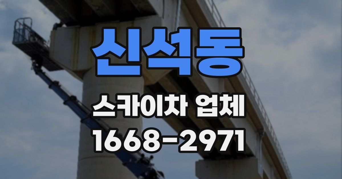 신석동 스카이차 업체