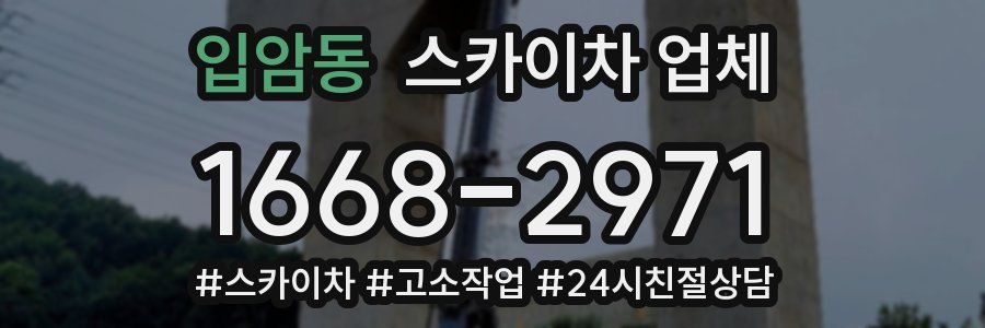 입암동 스카이차 업체