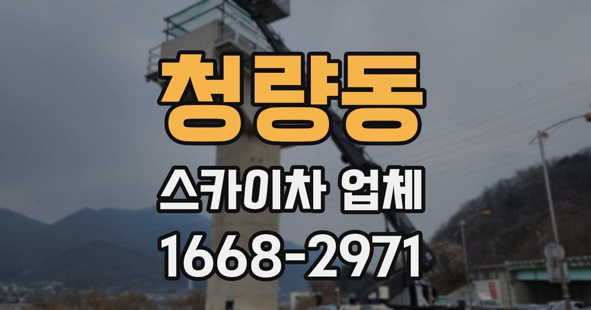 청량동 스카이차 업체