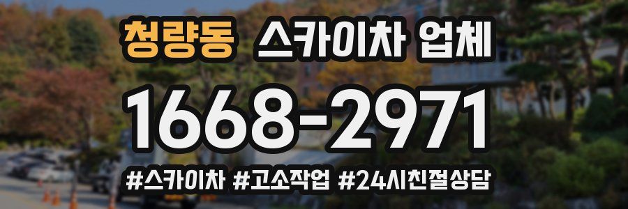 청량동 스카이차 업체