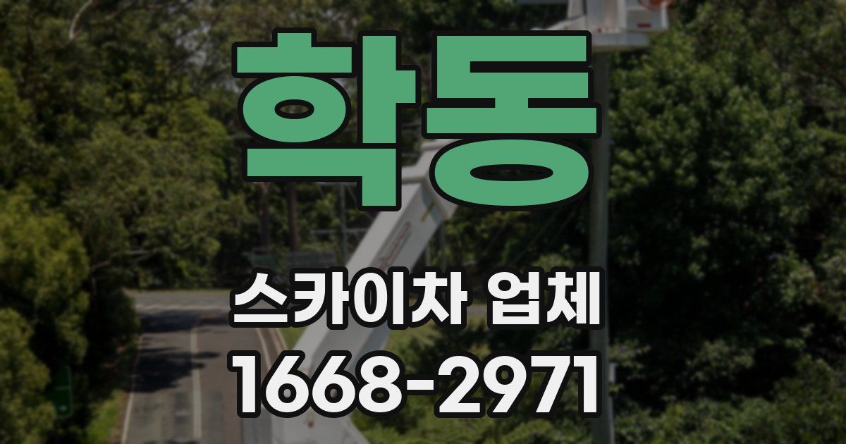 학동 스카이차 업체