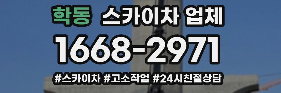학동 스카이차 업체