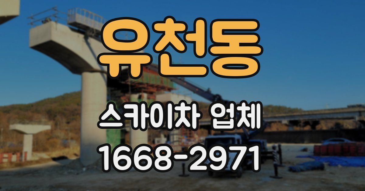 유천동 스카이차 업체