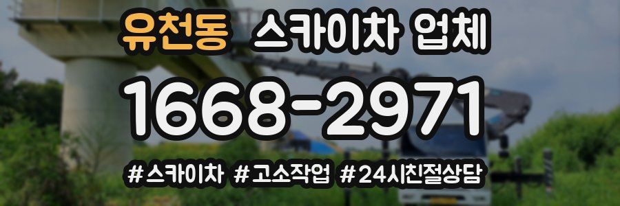 유천동 스카이차 업체