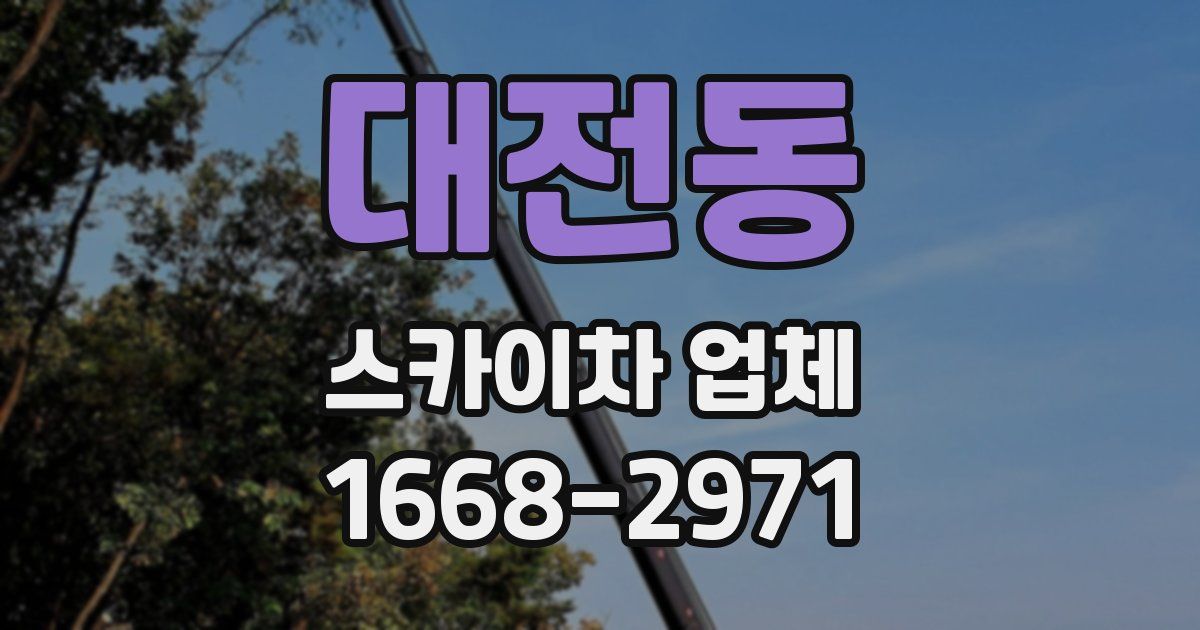 대전동 스카이차 업체