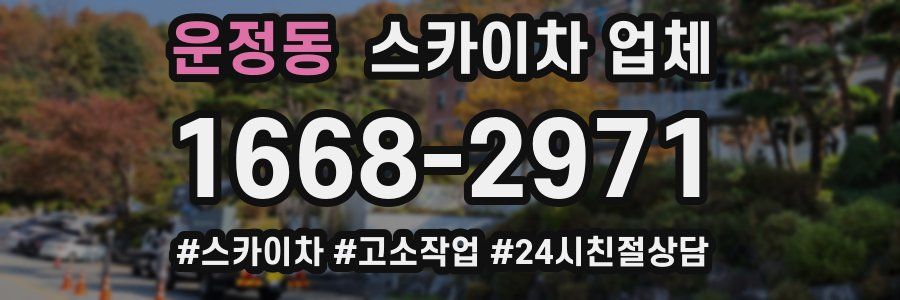 운정동 스카이차 업체