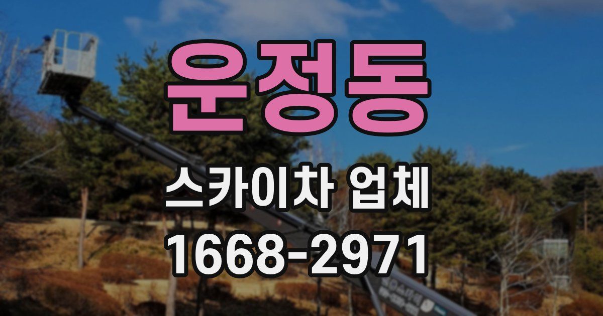 운정동 스카이차 업체