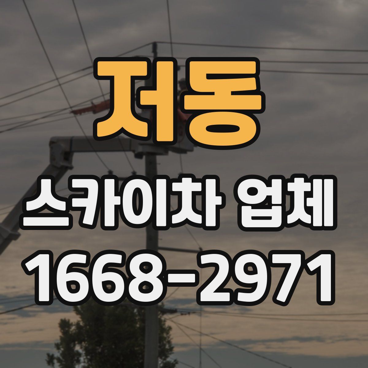 저동 스카이차 업체