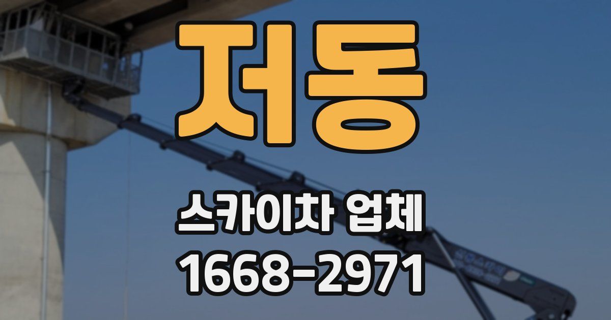 저동 스카이차 업체