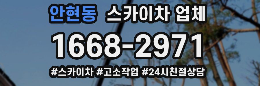 안현동 스카이차 업체