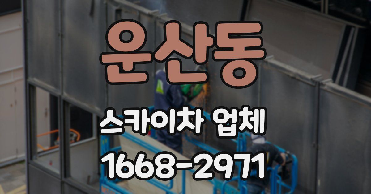 운산동 스카이차 업체