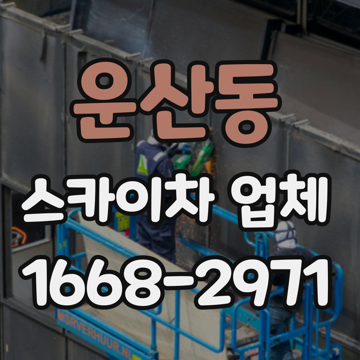 운산동 스카이차 업체