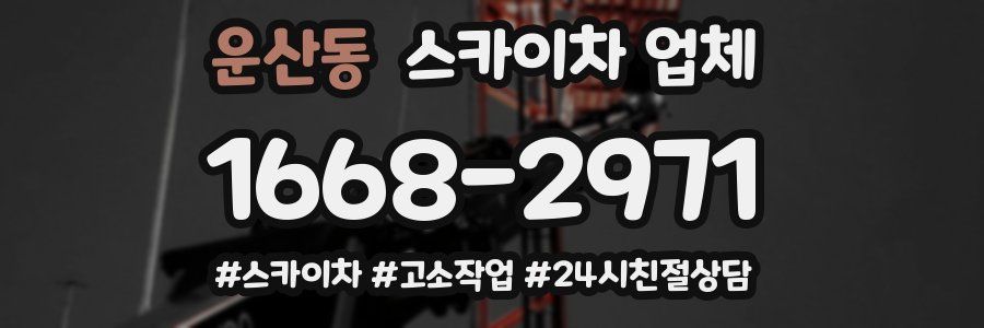 운산동 스카이차 업체
