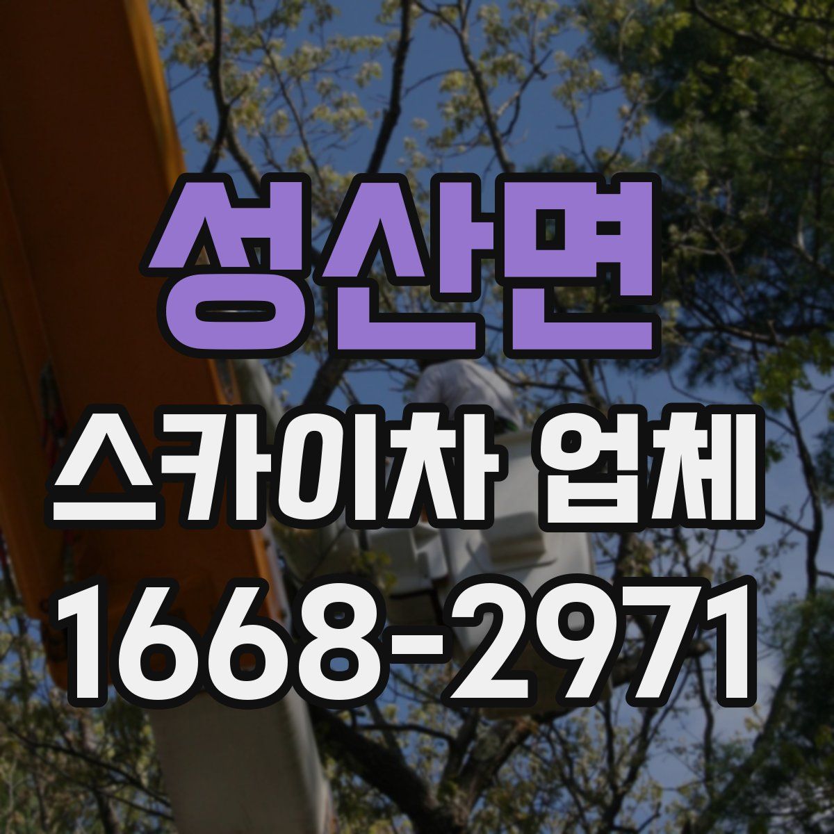 성산면 스카이차 업체