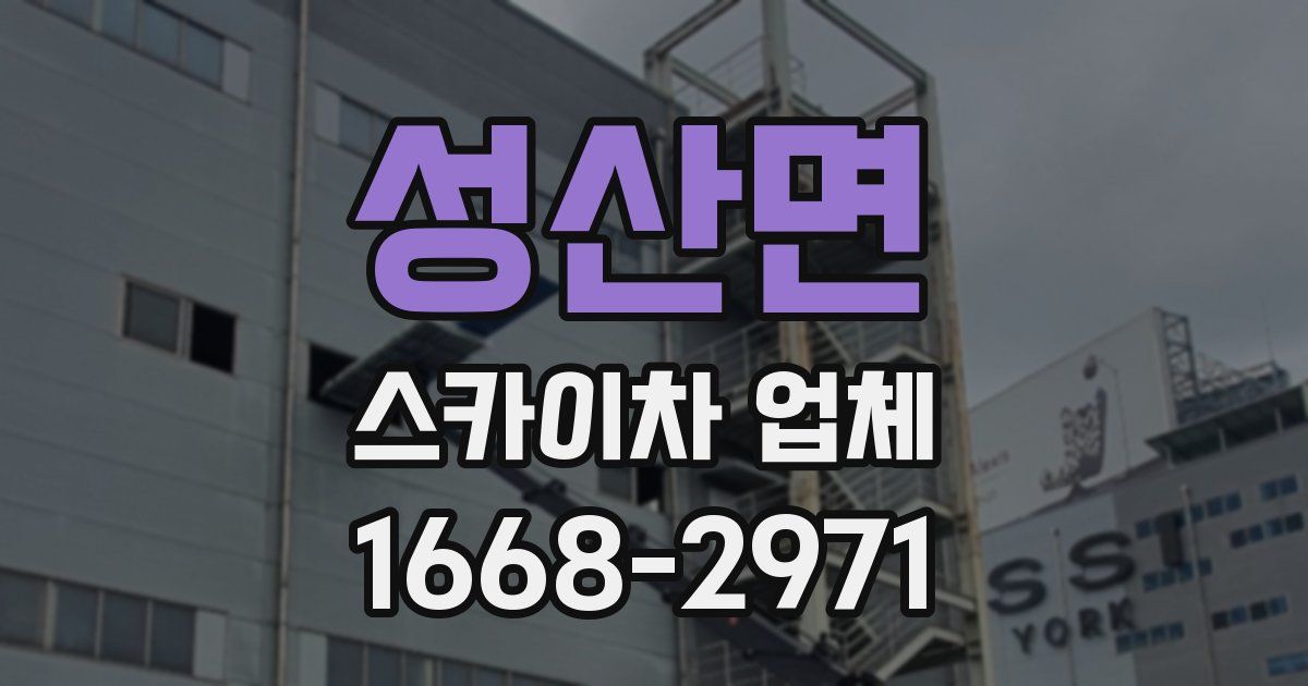 성산면 스카이차 업체