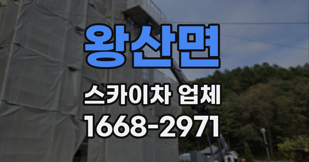 왕산면 스카이차 업체