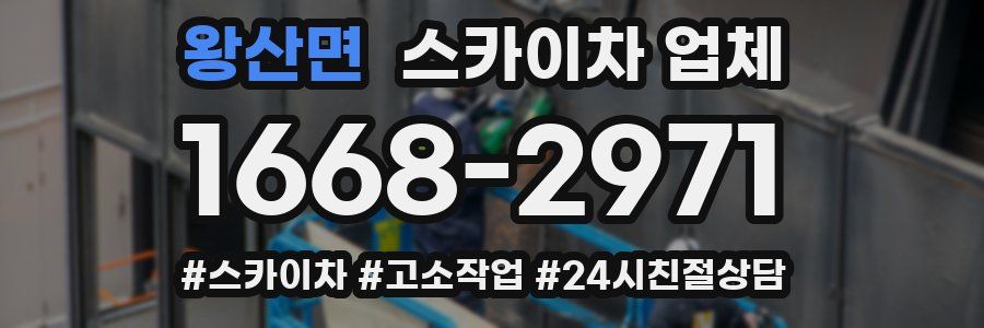 왕산면 스카이차 업체