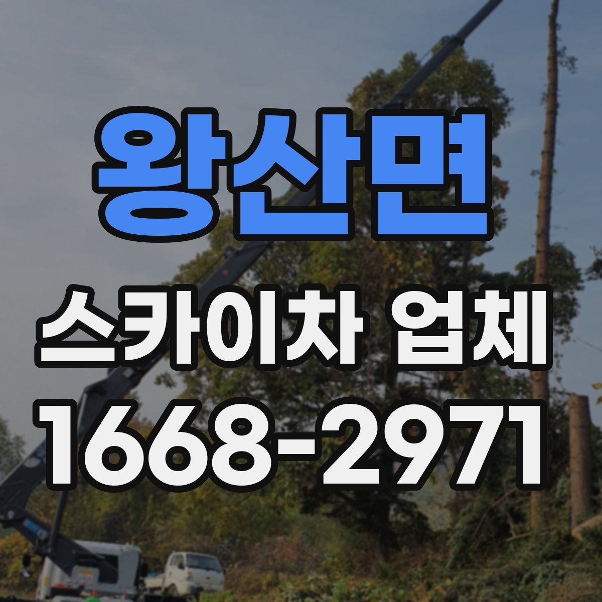 왕산면 스카이차 업체