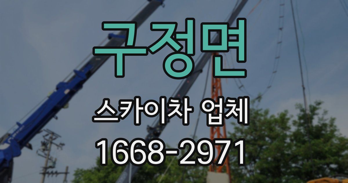 구정면 스카이차 업체