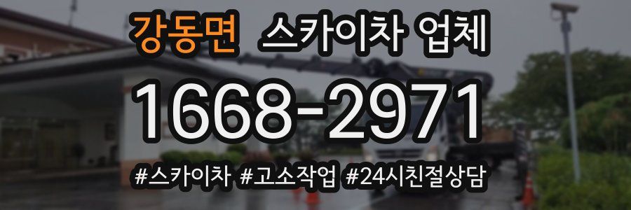 강동면 스카이차 업체
