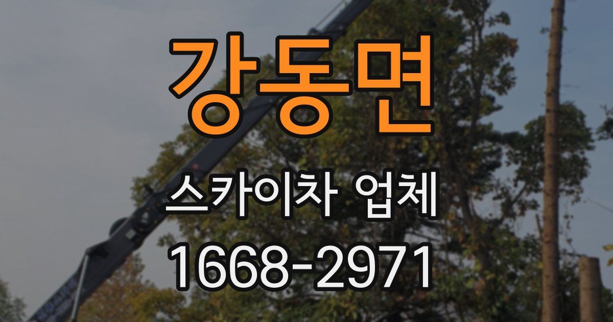 강동면 스카이차 업체