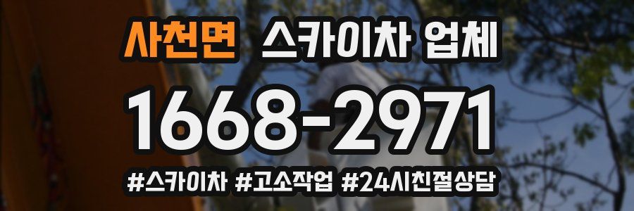 사천면 스카이차 업체