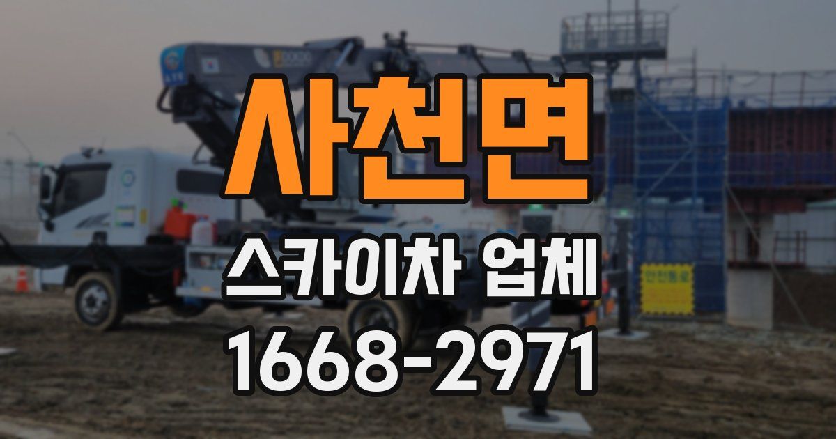 사천면 스카이차 업체