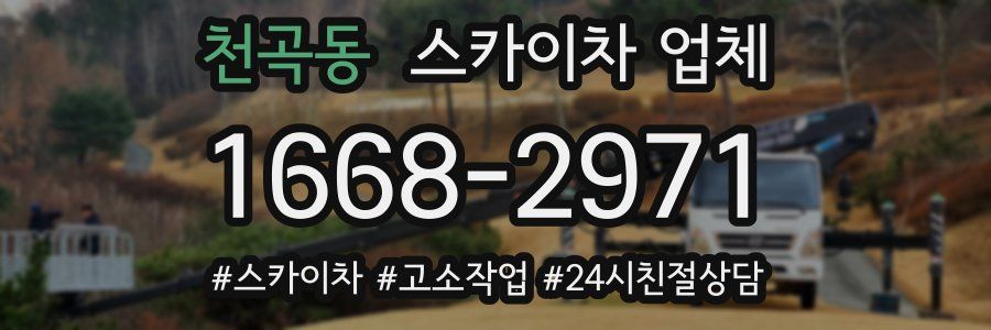 천곡동 스카이차 업체