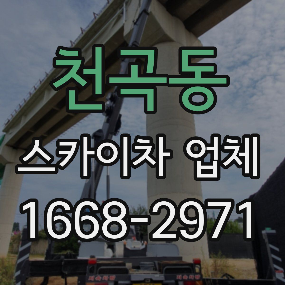 천곡동 스카이차 업체