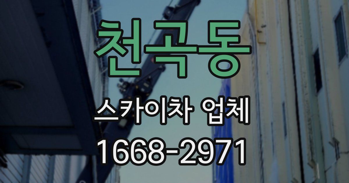 천곡동 스카이차 업체