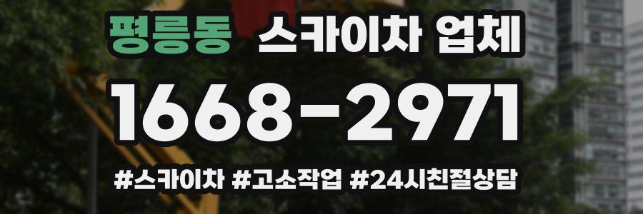 평릉동 스카이차 업체