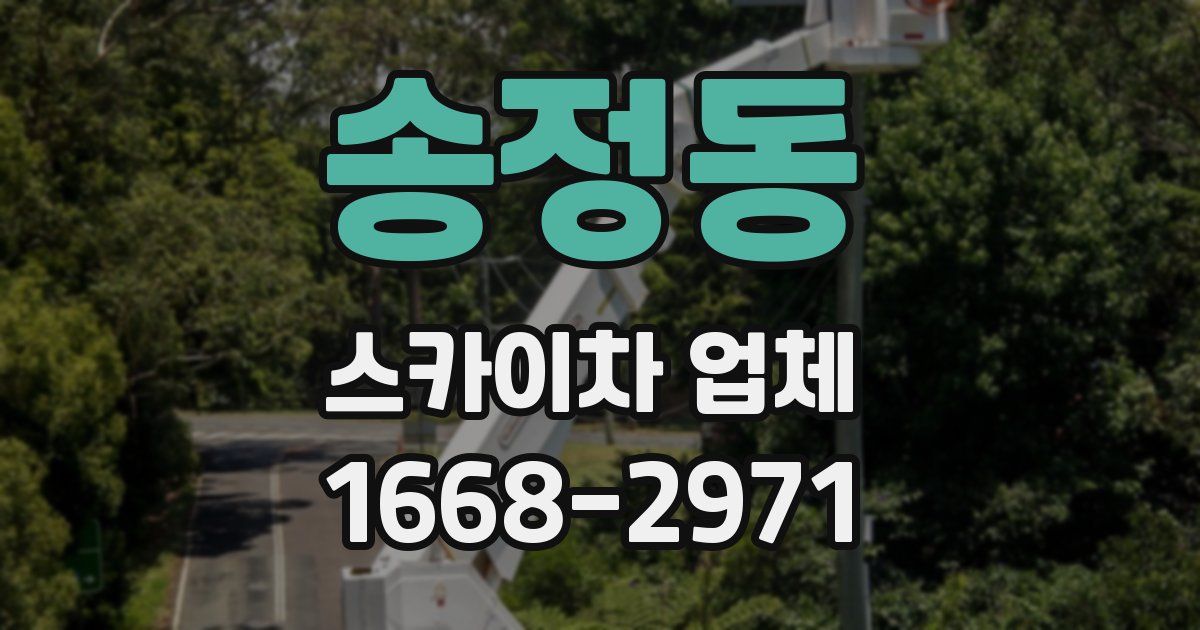 송정동 스카이차 업체