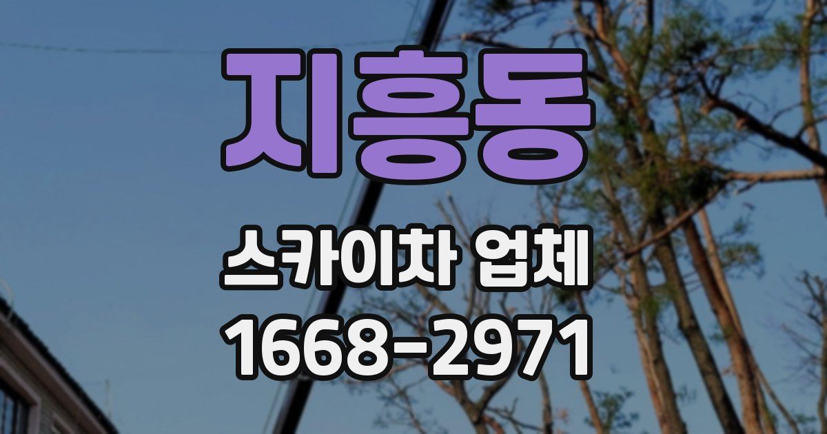 지흥동 스카이차 업체