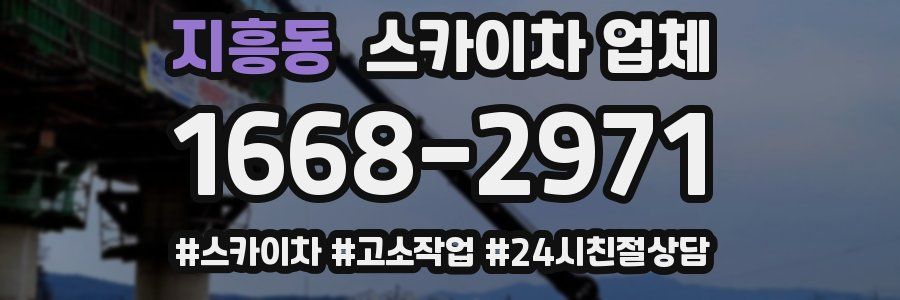 지흥동 스카이차 업체